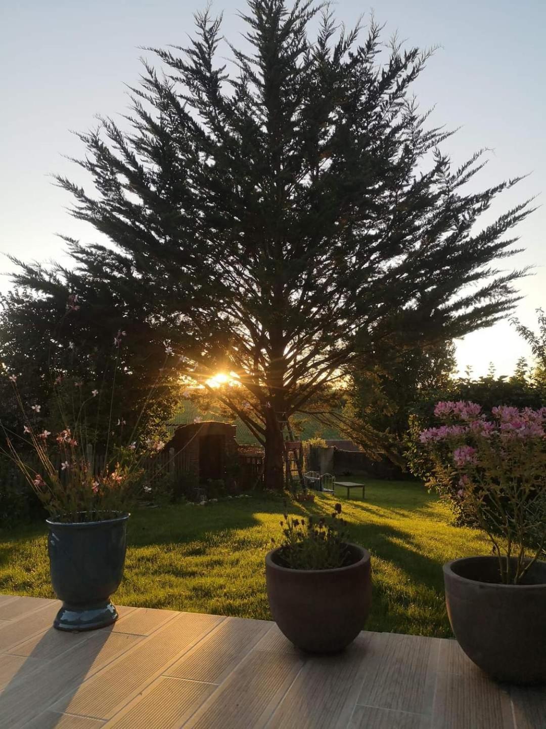 Willa Au Coeur De Mortagne, Un Balcon Sur Le Perche Zewnętrze zdjęcie